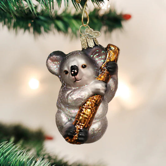 Koala Bear